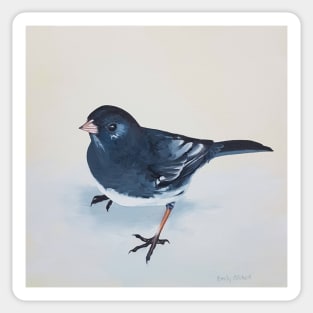 Dark-eyed Junco bird painting Sticker